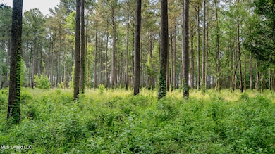 52 Acre-Lauderdale-MWLG-02