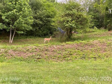 118 Blueberry Dr, Burnsville, NC 28714 - photo 7