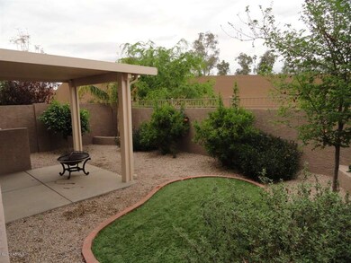 Great Back Yard