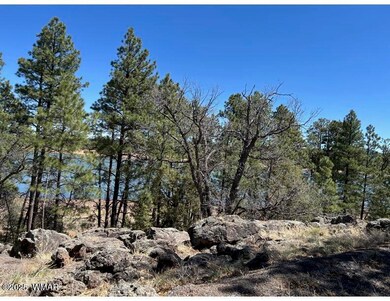 0 Show Low Lake Rd, Show Low, AZ 85901 - photo 3