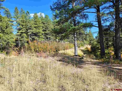 0 Wild Iris Ave unit 752612, Durango, CO 81301 - photo 4