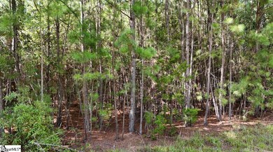 0 Neighbors Rd unit and Double A Trail, Clinton, SC 29325 - photo 4