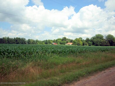 P7034243