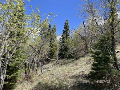 Sloped lot with variety of trees