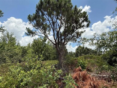 0 Snug St unit MFROK225184, North Port, FL 34286 - photo 3