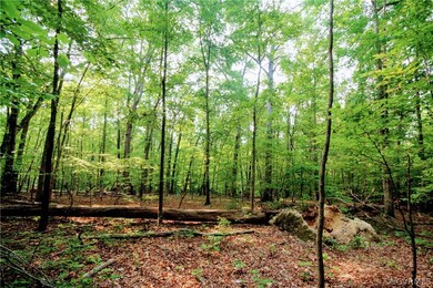 0 Stubbs Bridge Rd unit 2125675, Mineral, VA 23117 - photo 6