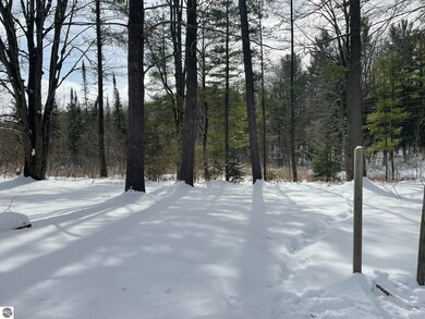 1461 W Gallagher Rd, West Branch, MI 48661 - photo 4