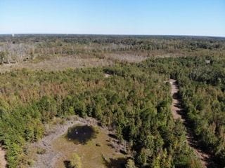 Tbd Broxton Bridge Rd, Bamberg, SC 29003 - photo 4