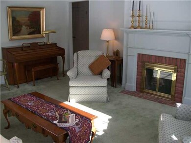 Living Room Woodburning Fireplace