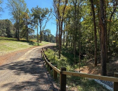 0 Hunziker Ln unit RTC2785101, Fairview, TN 37062 - photo 2