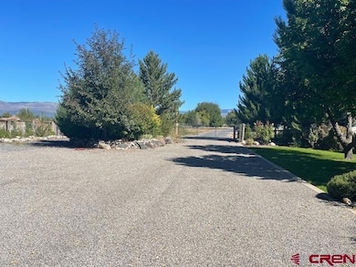 12800 Eckert Estates Rd, Eckert, CO 81418 - photo 4