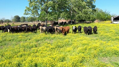 0 Sulphur Springs Rd unit 2147493, Shelbyville, TN 37160 - photo 2