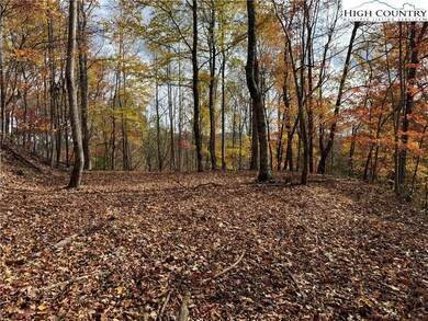 TBD Globe Rd, Lenoir, NC 28645 - photo 5