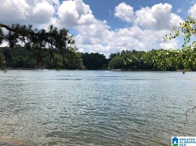 0 County Road 3292 unit 898520, Wedowee, AL 36278 - photo 5