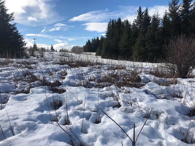 Twitter Creek Land