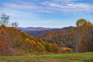 TBD 2 Mayito Ln, Mouth of Wilson, VA 24363 - photo 2