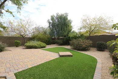 Backyard2