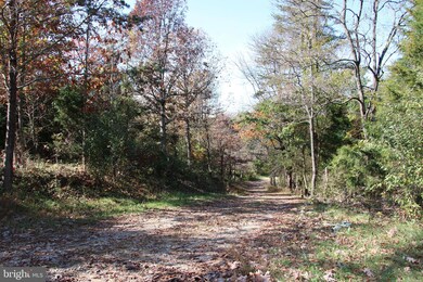 0 Tree Farm Ln, South River, VA 22610 - photo 7