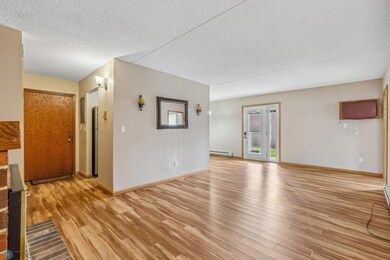 Newer Laminate Flooring