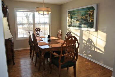 553 Lakeview Dr, Oswego, IL 60543 - photo 6