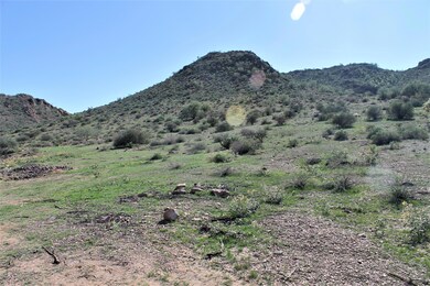 Gentle sloping lot