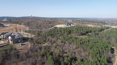 117 Waterview Garden Ln, Roland, AR 72135 - photo 7