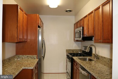10720 West Dr unit 301, Fairfax, VA 22030 - photo 2