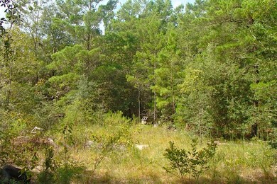 10.8 Acres