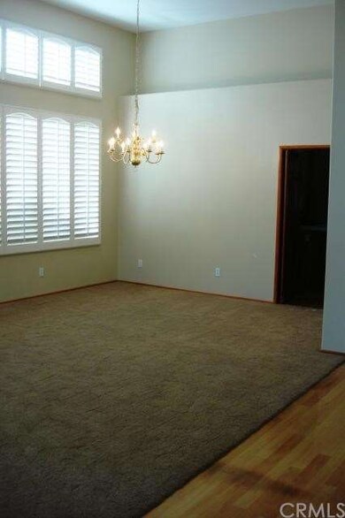 NEW CARPET