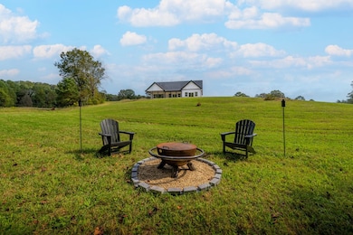 287 Cold Springs Rd, Ellijay, GA 30540 - photo 5