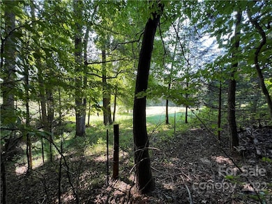 0 Cove Gap Rd unit CAR3913885, Statesville, NC 28625 - photo 6