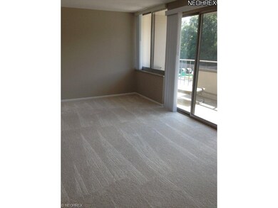 The Carlyle on the Lake unit 411, Lakewood, OH 44107 - photo 6
