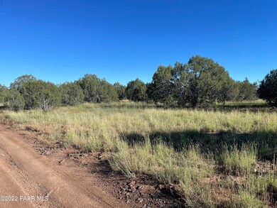 Lot 51a Juniperwood Ranch, Ash Fork, AZ 86046 - photo 3