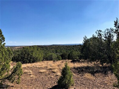 1390 W Joseph Dr, Ash Fork, AZ 86320 - photo 6