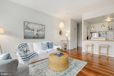 The Balfour unit 305, Washington, DC 20009 - photo 6