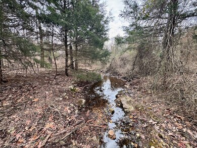 0 Tbd Raven Rd unit Lot WP001, Granby, MO 64844 - photo 5