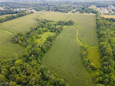 3810 Center Rd, Youngstown, OH 44514 - photo 4