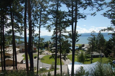 116 Holt Dr, Bigfork, MT 59911 - photo 2