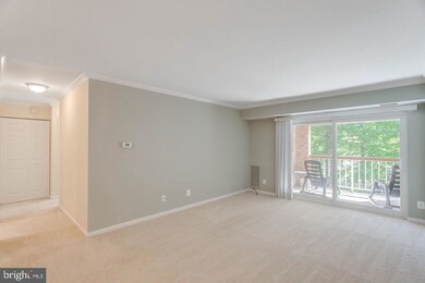 5831 Cove Landing Rd unit 202, Burke, VA 22015 - photo 6