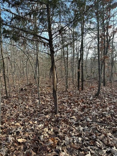 TBD County Road 118, Annapolis, MO 63620 - photo 4