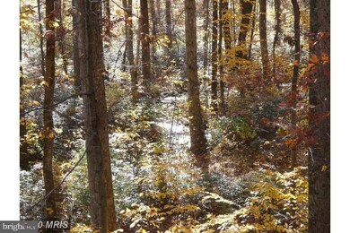 330 Whitmer Rd, Shippensburg, PA 17257 - photo 5