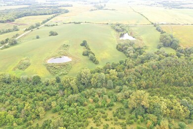 40 Acres Nw1 4 Nw 1 4 7-69-28, Ellston, IA 50074 - photo 5