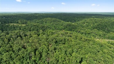 Lot 8 Esculapia Hollow Rd, Rogers, AR 72758 - photo 7