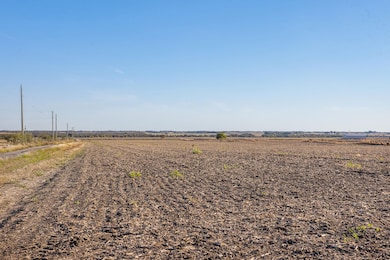 Tbd Fm 112, Thrall, TX 76578 - photo 3