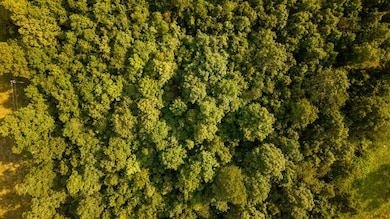 12078 Nevill Rd, Clinton Township, MO 65711 - photo 4