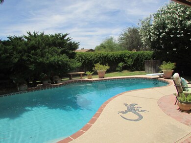 4009 W Beryl Ave, Phoenix, AZ 85051 - photo 3