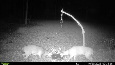 0 Grass Creek Ln, Athens, WI 54411 - photo 3