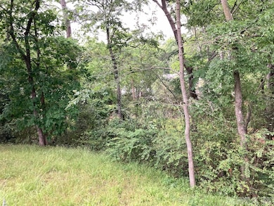 520 S Martin St unit S. Martin St. north, Little Rock, AR 72205 - photo 6