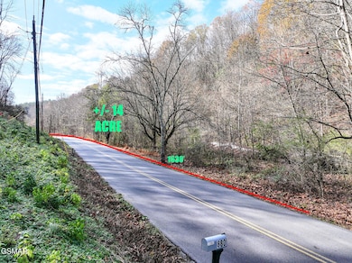 873 Indian Gap Rd, Sevierville, TN 37876 - photo 4