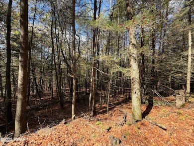 Wooded Acerage